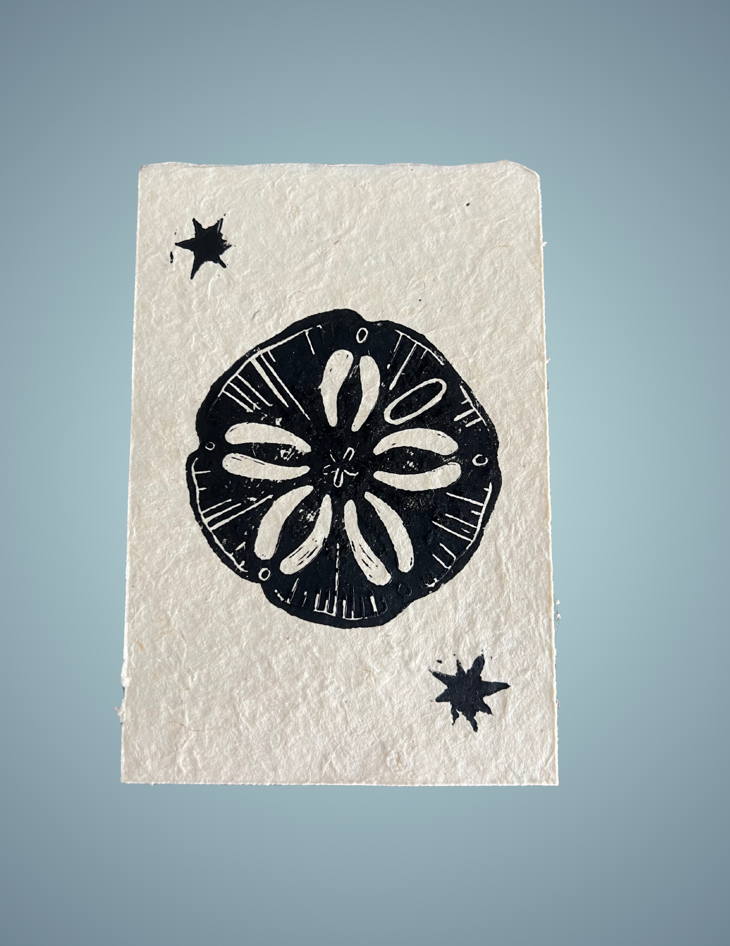 Linocut Print - Sand Dollar