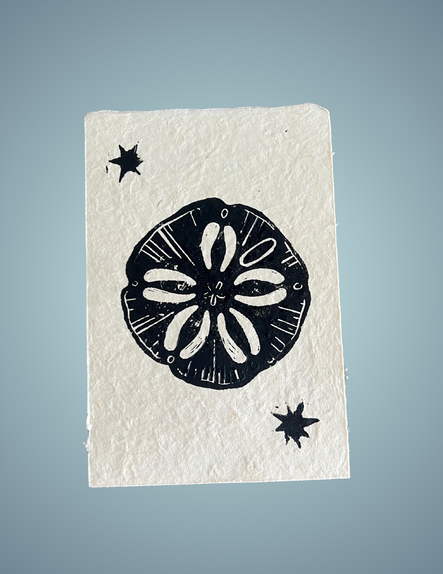 Linocut Print - Sand Dollar